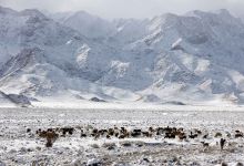 گزارش تصویری از قله شاهوار تا شهر مجن